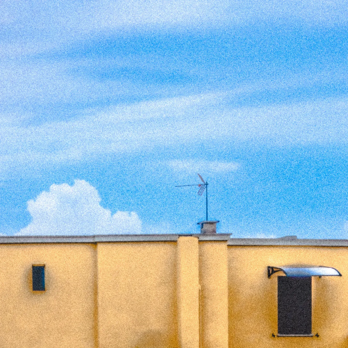 Ordinary Days